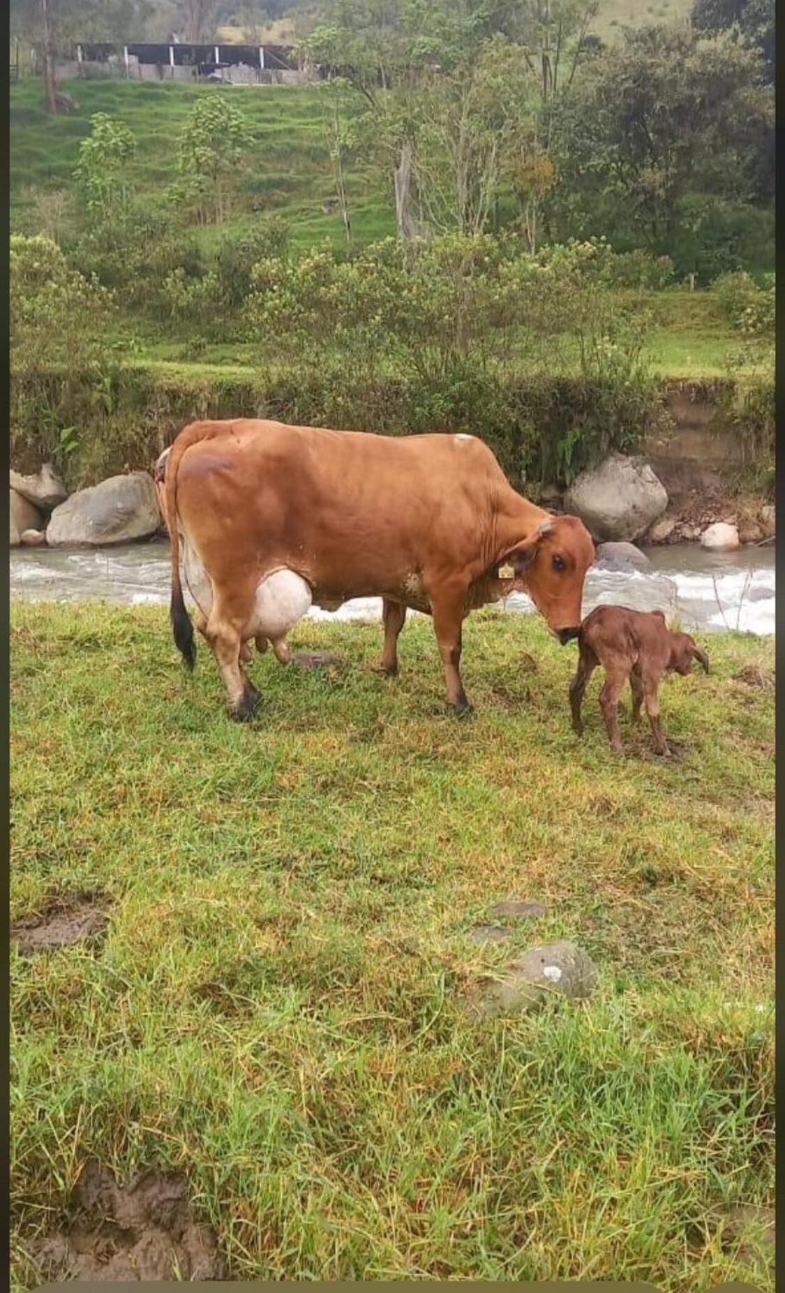 马尼萨莱斯Alojamiento Con Vista Al Rio Y Paisajes Hermosos别墅 外观 照片