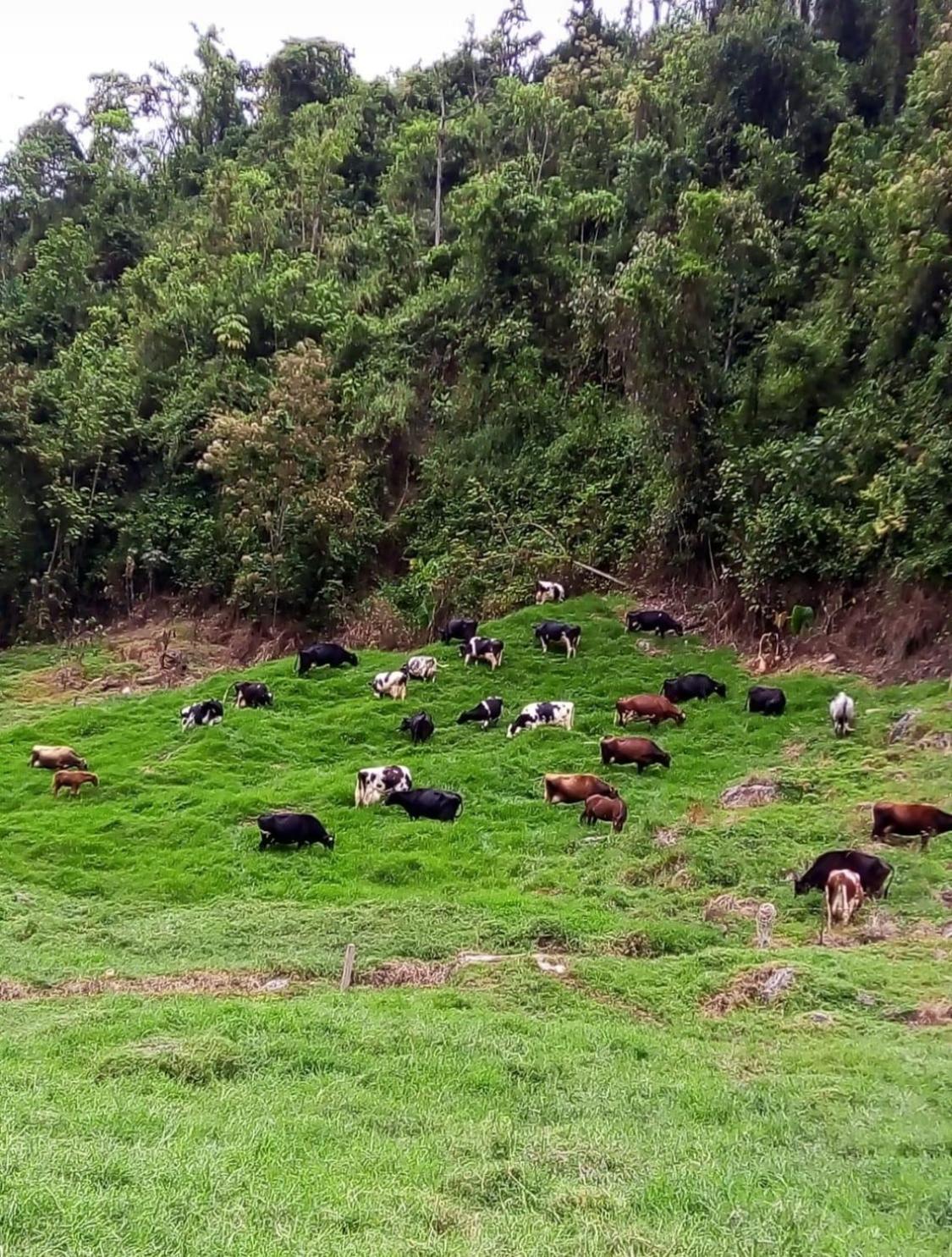 马尼萨莱斯Alojamiento Con Vista Al Rio Y Paisajes Hermosos别墅 外观 照片